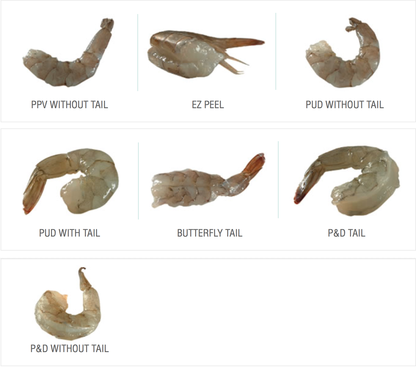 shrimp-chan様サイズ1 一枚 Our Products — Prime Seafood Imports